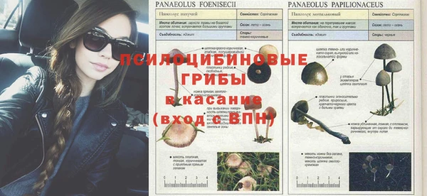 прущий лед Елизово