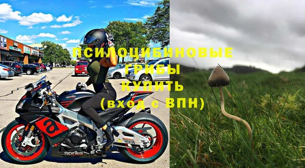 дживик Зеленодольск